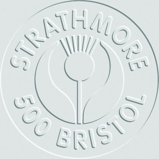 BRISTOL 3PLY PLATE 23X29