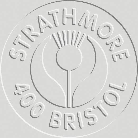 BRISTOL 4PLY SM 22X30