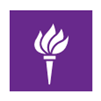 New York University